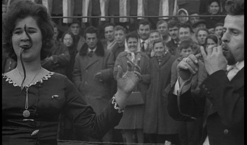 makavejev image.jpeg